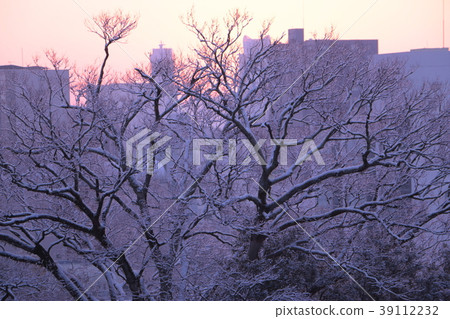 Kochi city with snow scene 39112232