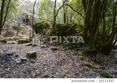 Hachiya Sugaya 39112397