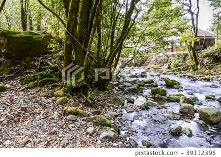 Hachiya Sugaya 39112398