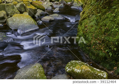 Hachiya Sugaya Hachiya Sugaya 39112464