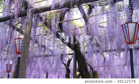 16：9熊野（Yuya）長門：柴田市，Jyokkoji 39112578