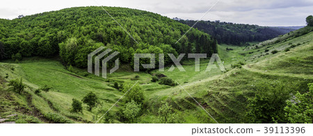 a forest landscape a forest landscape 39113396