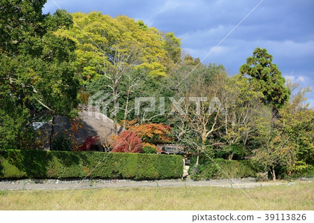 Hadano別墅 39113826