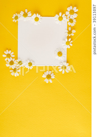 daisy flowers on the paper card daisy flowers on the paper card 39113897