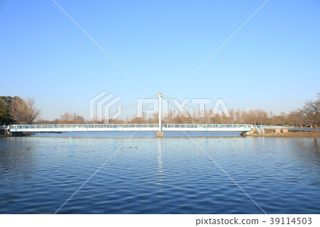 東京都水源公園水本橋 東京都水源公園水本橋 39114503