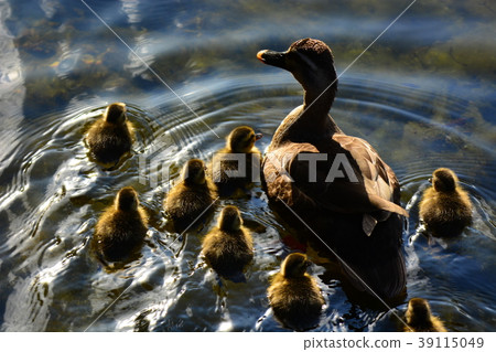 Kargamo父母和孩子4 39115049