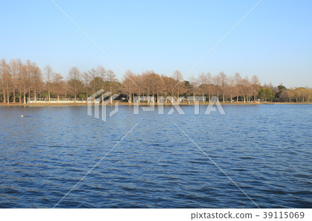 東京都水源公園Ogoidani 東京都水源公園Ogoidani 39115069