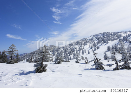 冰原和雪原 冰原和雪原 39116217