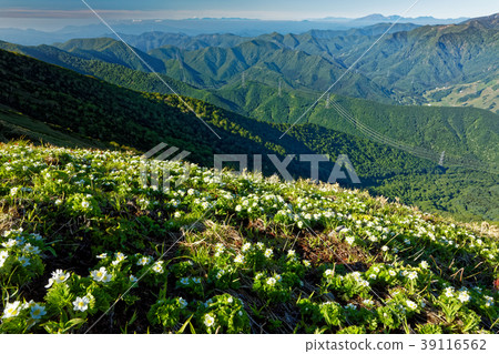 上越邊境和富士山的白山一枝社區 上越邊境和富士山的白山一枝社區 39116562
