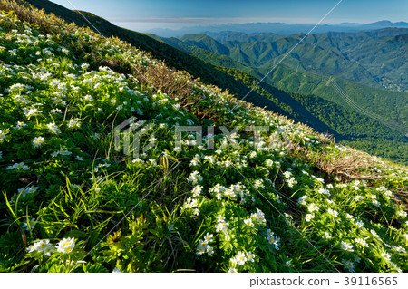 上越邊境和富士山的白山一枝社區 39116565