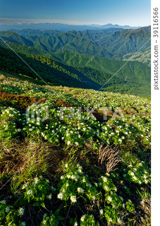 上越邊境和富士山的白山一枝社區 上越邊境和富士山的白山一枝社區 39116566