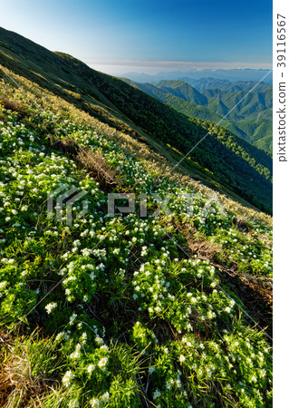 上越邊境和富士山的白山一枝社區 上越邊境和富士山的白山一枝社區 39116567