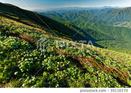 上越邊境和富士山的白山一枝社區 上越邊境和富士山的白山一枝社區 39116570