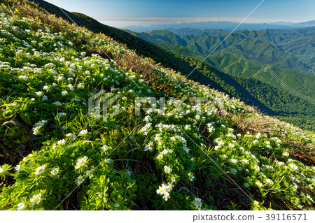 Hakusan Ichige community on the Joetsu border and Mt. 39116571