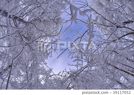 Petition and Sky Petition and Sky 39117052