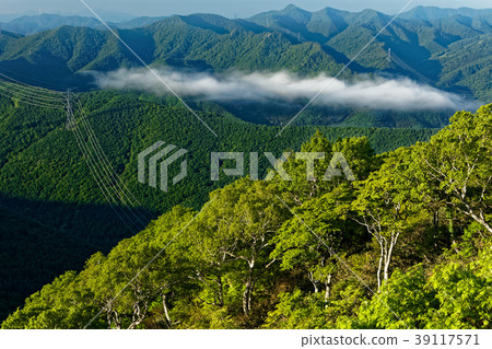 Fresh green of Mt. Higoribe-Matsute course 39117571