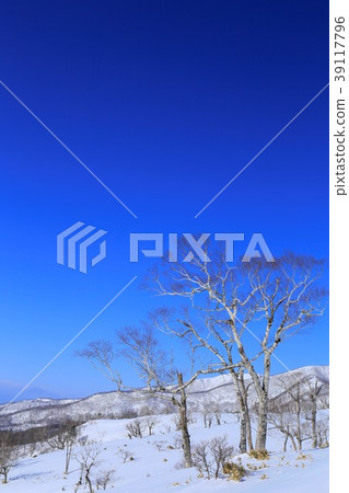 Winter scenery of Hokkaido Mt. 39117796