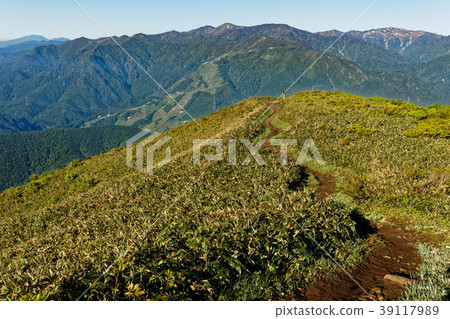 Mountain trails of Mt. Heibetsu / Matsute course and mountains in the direction of Hakusanzan 39117989