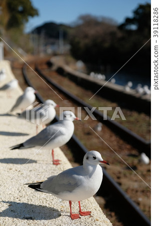 It is still a train It is still a train 39118286