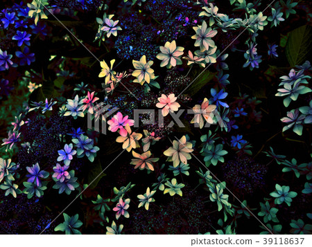 The mystery of flowers The mystery of flowers 39118637