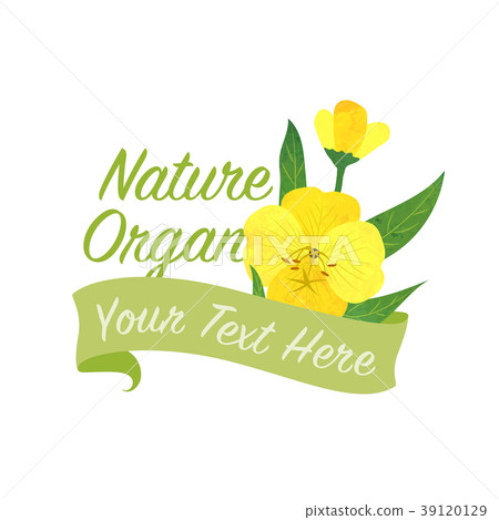 Colorful Watercolor Nature Botanic Garden Flower Stock Illustration 39120129 Pixta