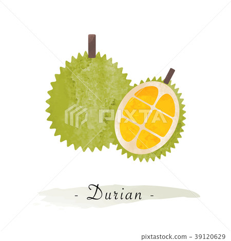 Colorful watercolor texture vector healthy fruit 39120629