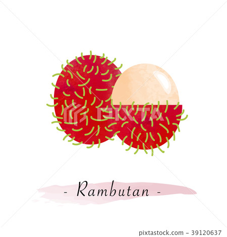 Colorful watercolor texture vector healthy fruit Colorful watercolor texture vector healthy fruit 39120637