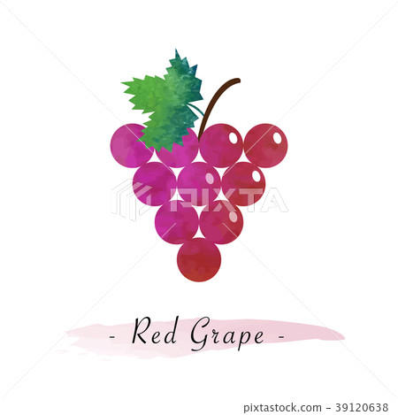 Colorful watercolor texture vector healthy fruit Colorful watercolor texture vector healthy fruit 39120638