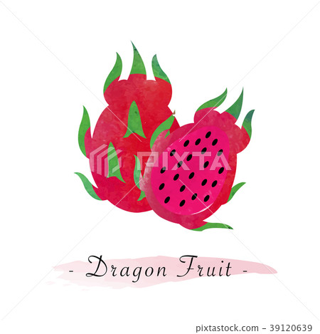 Colorful watercolor texture vector healthy fruit Colorful watercolor texture vector healthy fruit 39120639