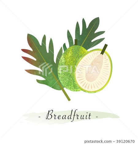 Colorful watercolor texture vector healthy fruit Colorful watercolor texture vector healthy fruit 39120670