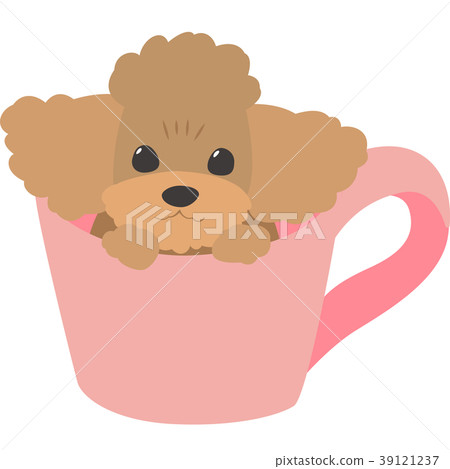 poodle cup dog