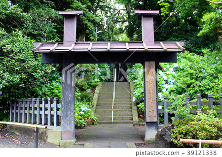 [神奈川縣]繡球花季節的北條門，妙音寺，鎌倉 39121338