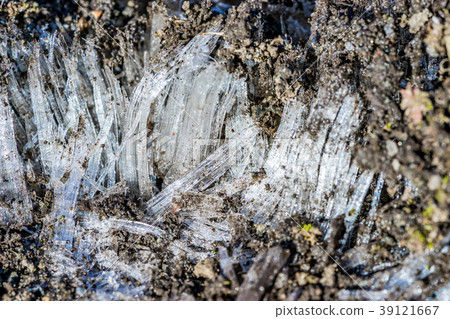 [神奈川縣]弗羅斯特支柱 39121667