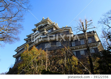 在岡山城堡的城堡塔 在岡山城堡的城堡塔 39122356