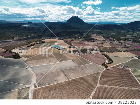 Cieza fields Cieza fields 39123022