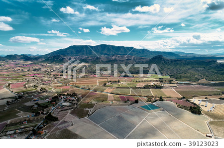 Cieza fields Cieza fields 39123023
