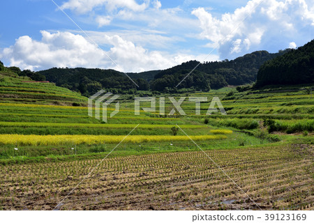 Terraced rice fields of Otsuki Kazuni 39123169