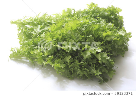 Wasabi Wasabi 39123371
