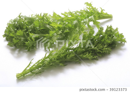 Wasabi Wasabi 39123373