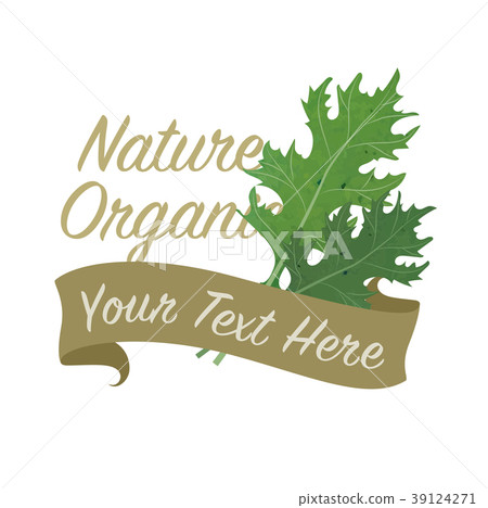 Colorful watercolor organic vegetable banner 39124271