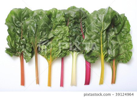 Swiss chard (permanent grass, swiss chard) 39124964
