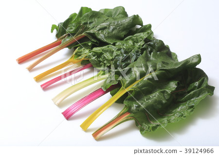 瑞士甜菜（永久草，瑞士甜菜） 39124966