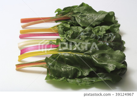 瑞士甜菜(永久草,瑞士甜菜) 瑞士甜菜(永久草,瑞士甜菜) 39124967