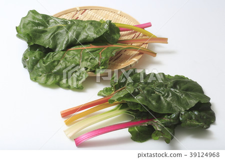 瑞士甜菜（永久草，瑞士甜菜） 39124968