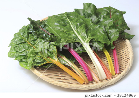 Swiss chard (permanent grass, swiss chard) 39124969