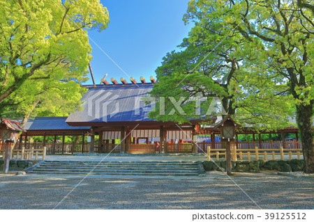 許多綠色的熱田神宮主殿 許多綠色的熱田神宮主殿 39125512