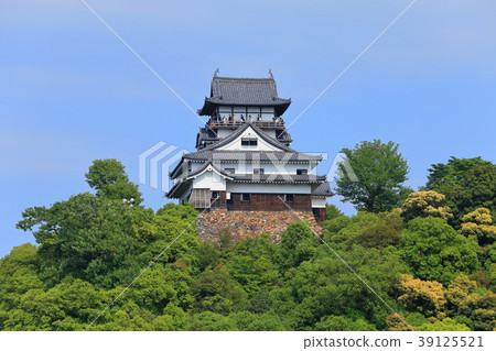 新鮮的綠色狗Yamashiro城堡塔 39125521