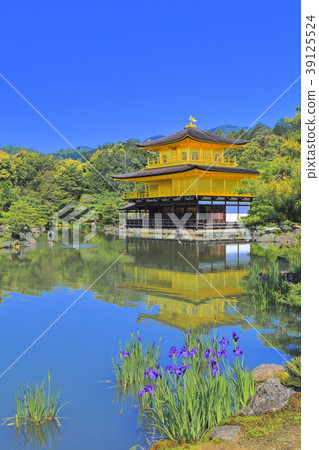 初夏的金閣寺 39125524