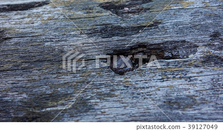 Old wood texture Old wood texture 39127049