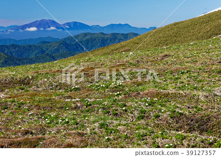 高山植被群落和山 39127357